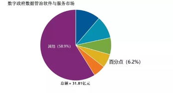 百分點躋身IDC數(shù)字政府數(shù)據(jù)管理與治理軟件和服務市場第四名，數(shù)據(jù)處理服務獲認可